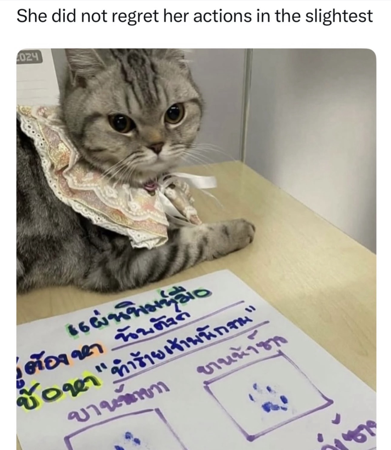 1770269817477.jpeg