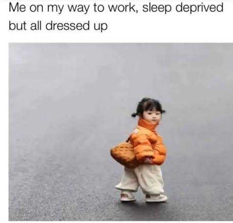 1770345279003.jpeg