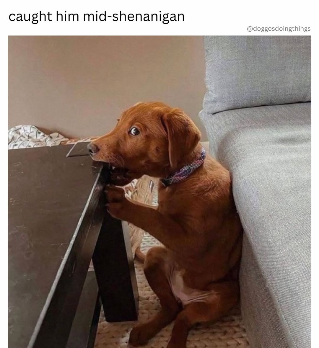 1770355887802.jpeg