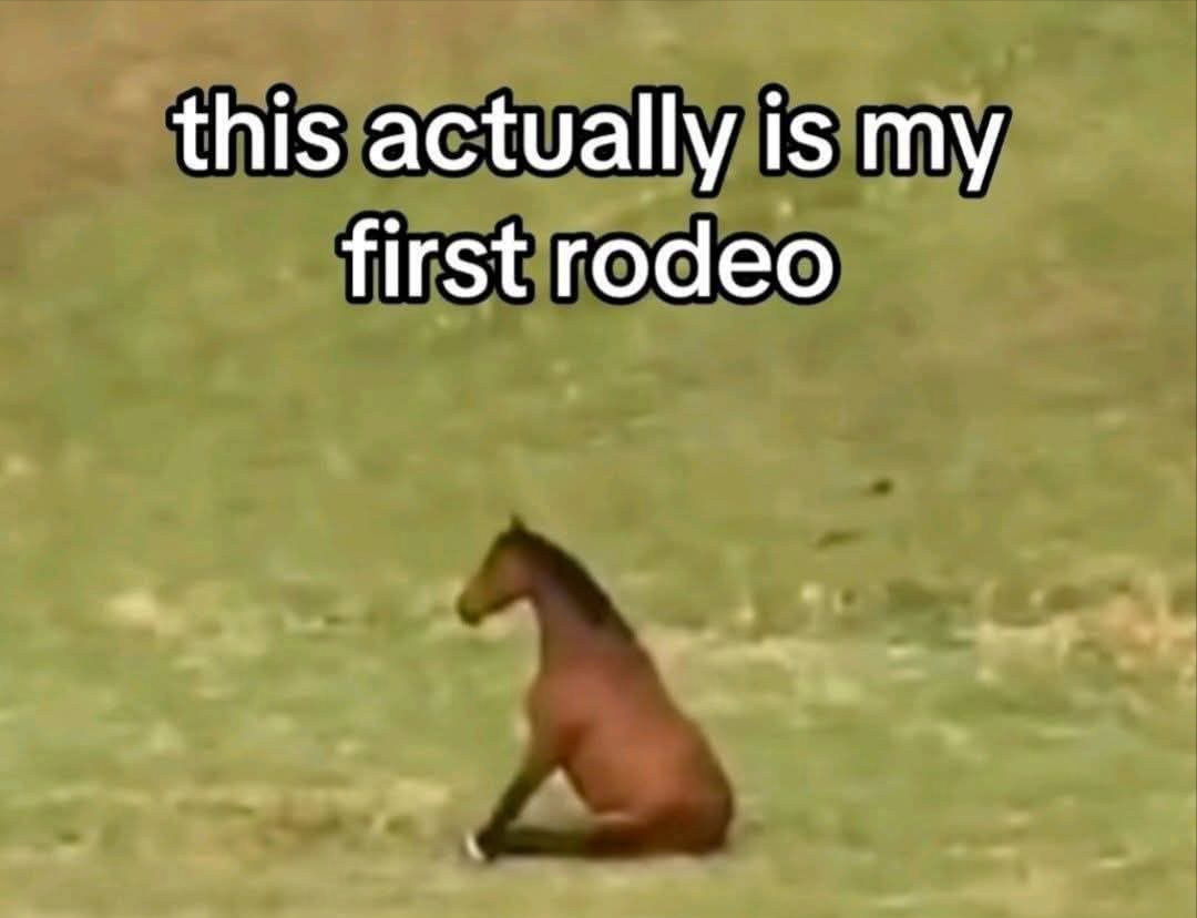 1770534609382.png