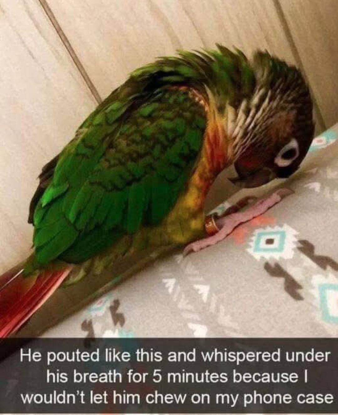 1770535403049.png