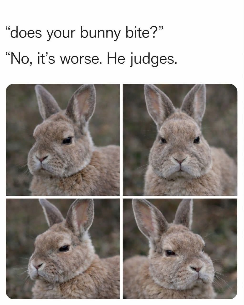 1770614314576.jpeg