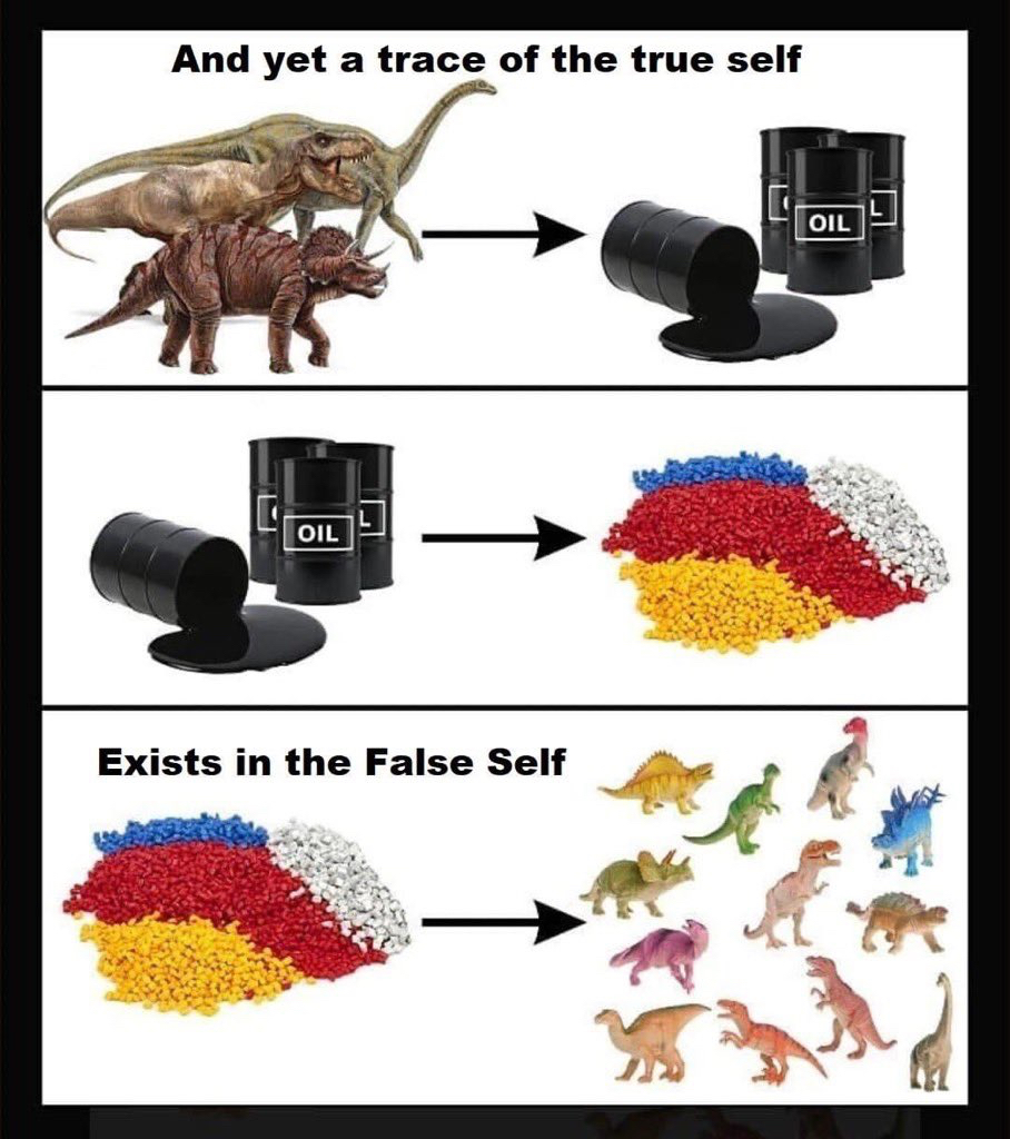 1770668845213.jpeg