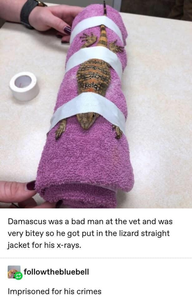 1770703737207.jpeg