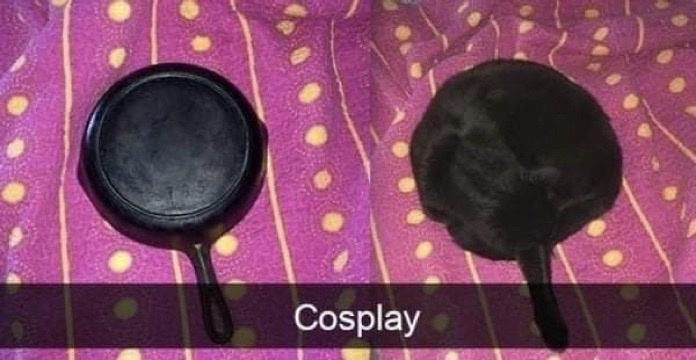 1770716576789.jpeg