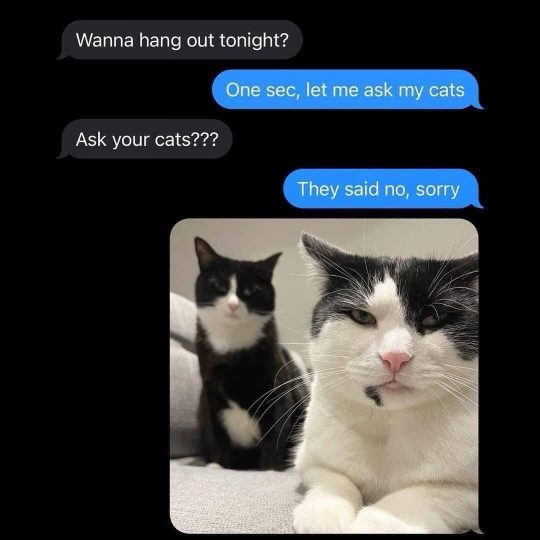 1771084894495.jpeg