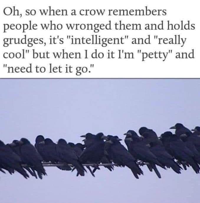 1771270002423.jpeg