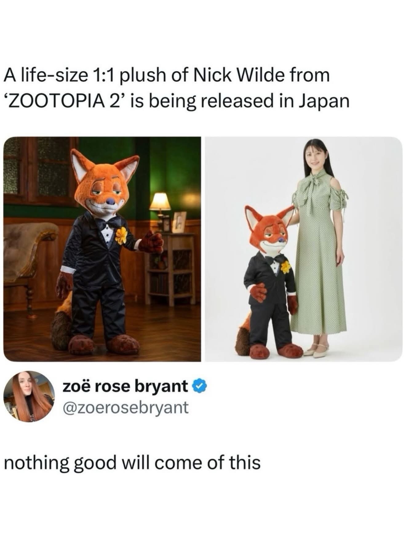 1771339405622.jpeg