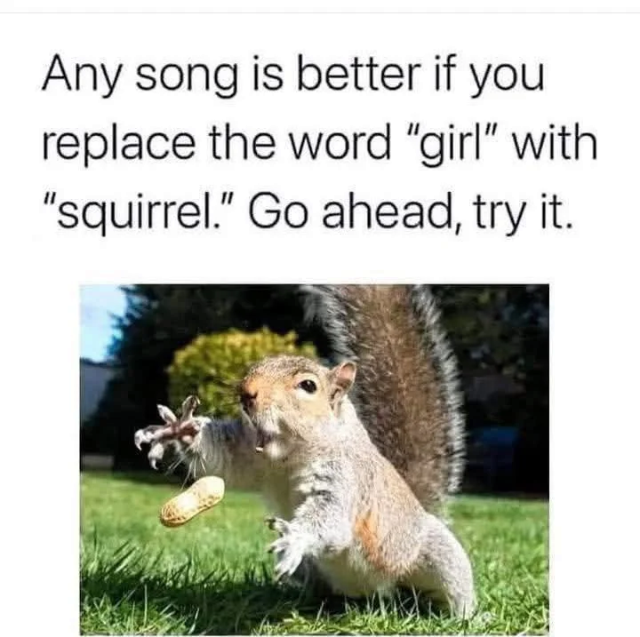 1771489176028.png