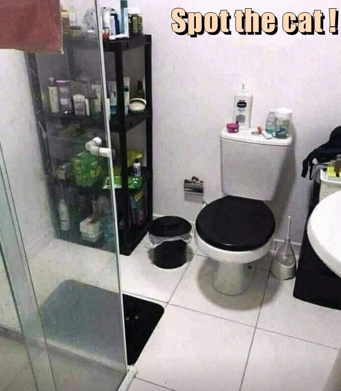 1771566655350.jpeg