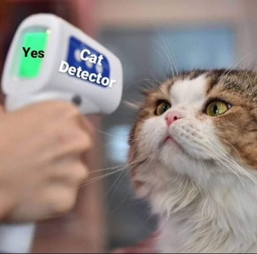 1771601496873.jpeg