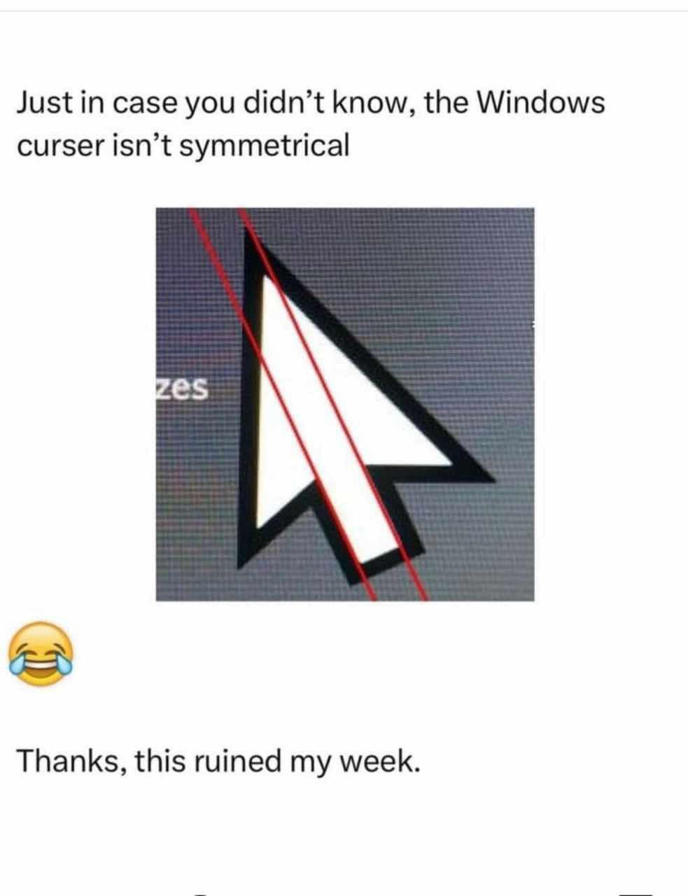 1771876675469.jpeg