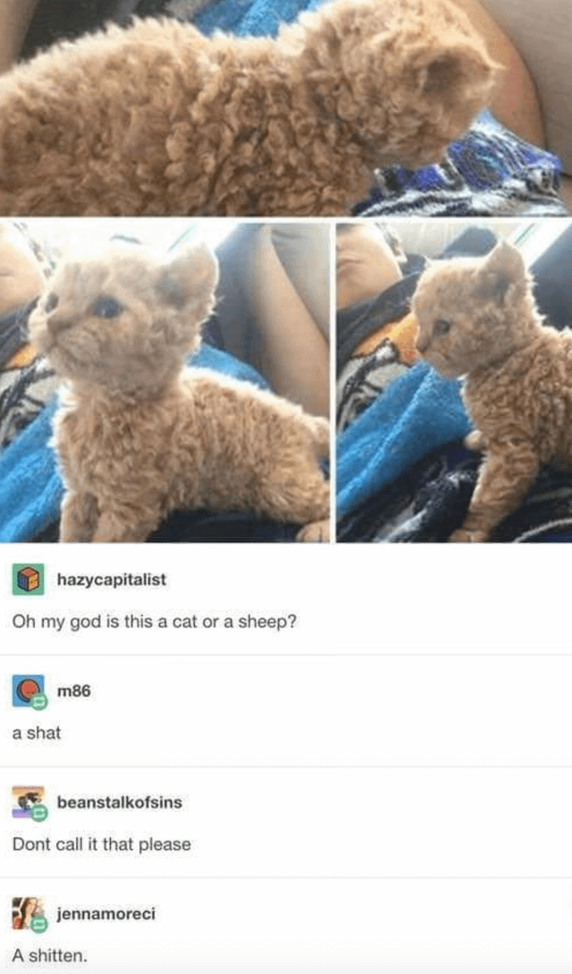 1771955439878.png