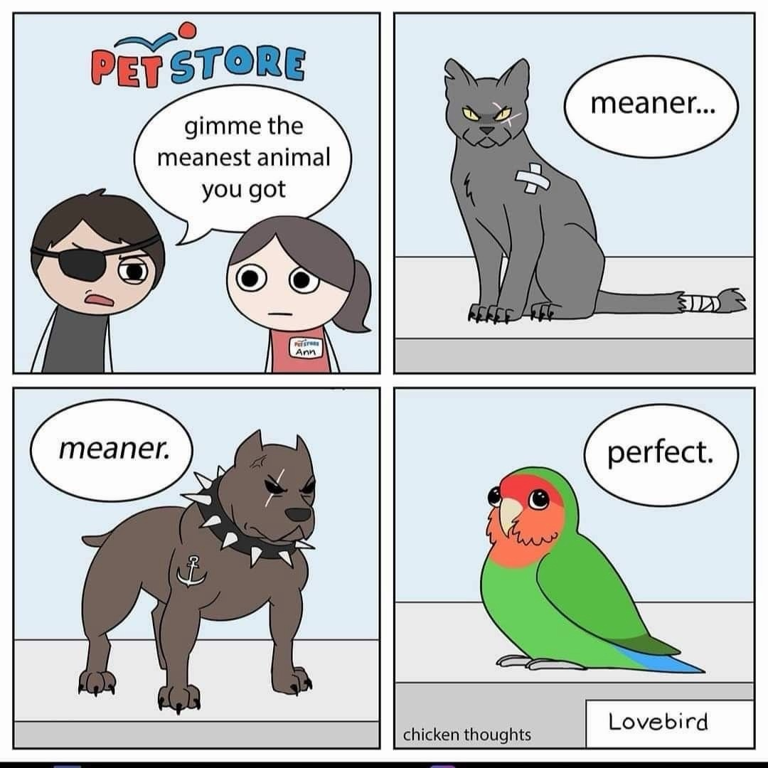 1772005690360.png