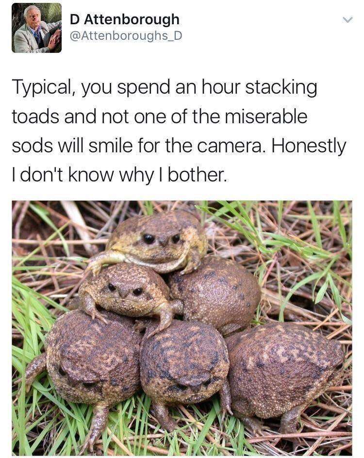 1772042318223.jpeg