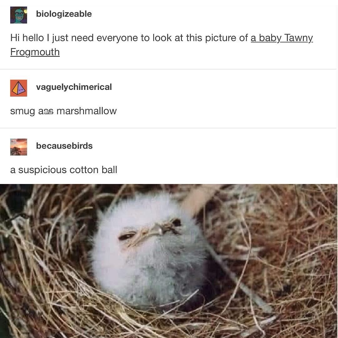 1772045400813.jpeg