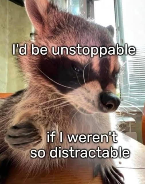 1772050041541.jpeg