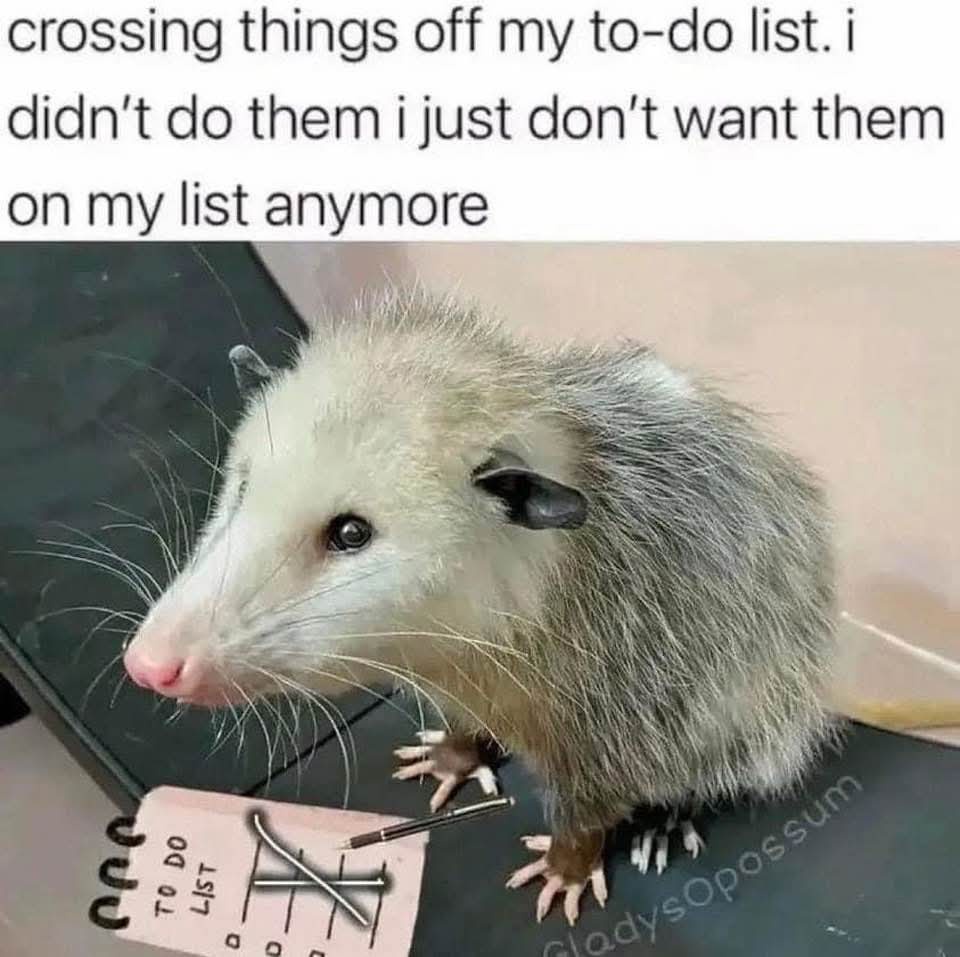 1772089840865.jpeg