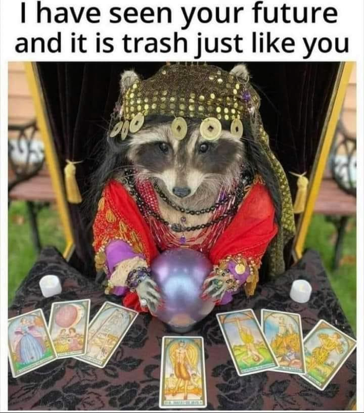 1772110997407.png