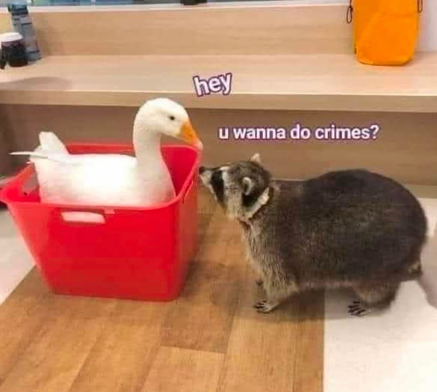 1772208899208.jpeg