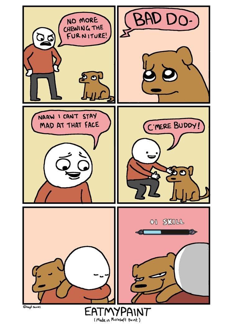 1772218099530.jpeg