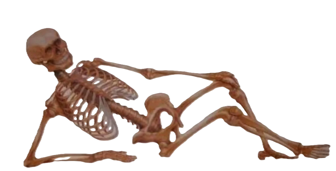 1772297754454.png