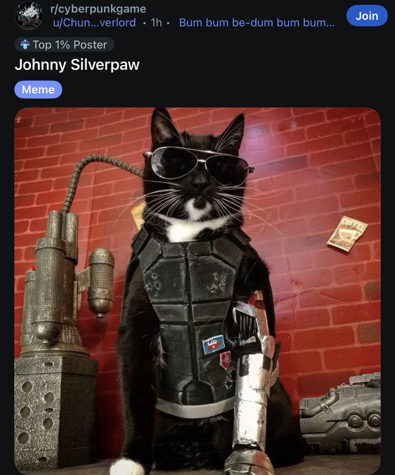 1772384940515.jpeg