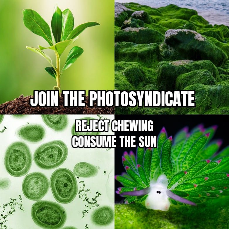 1772460217020.jpeg