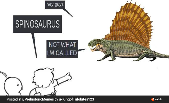 1772544254833.png