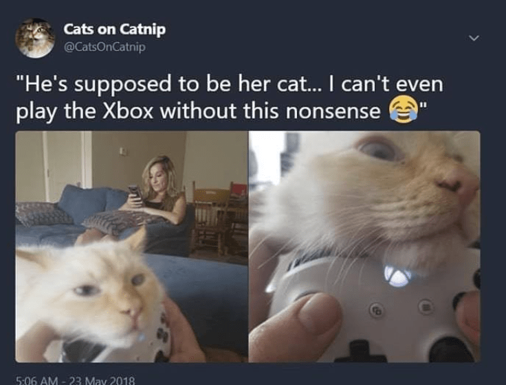 1772618009586.png