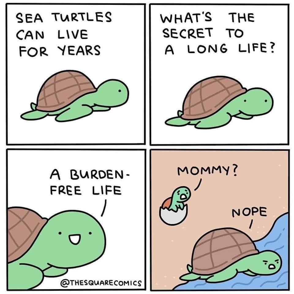 1772694791421.jpeg
