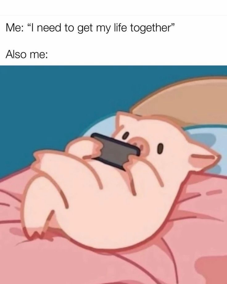 1772695425330.jpeg