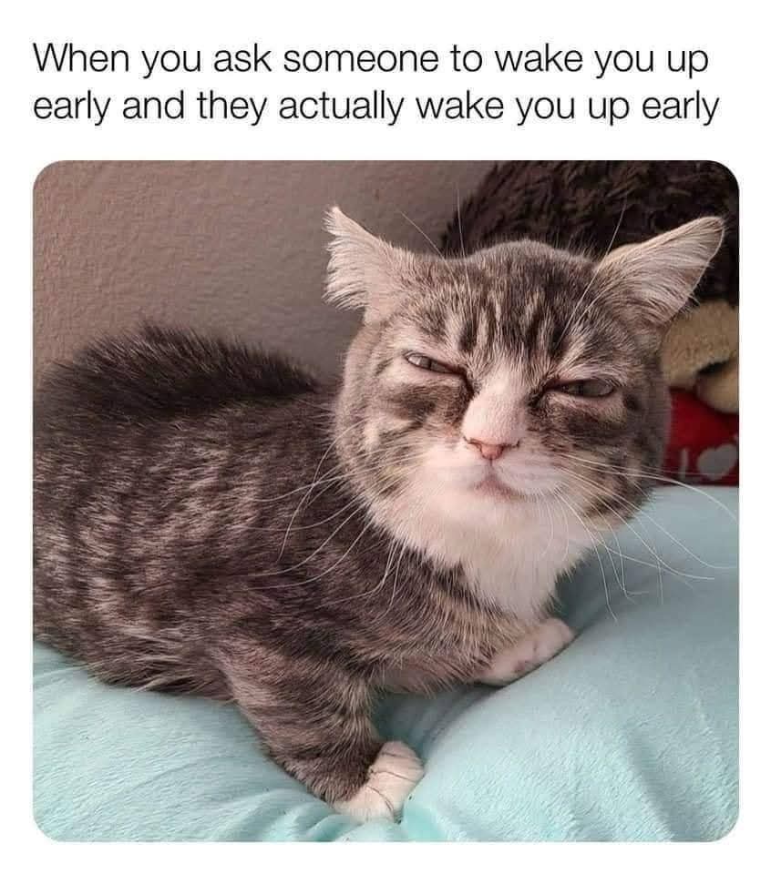 1772988530126.jpeg