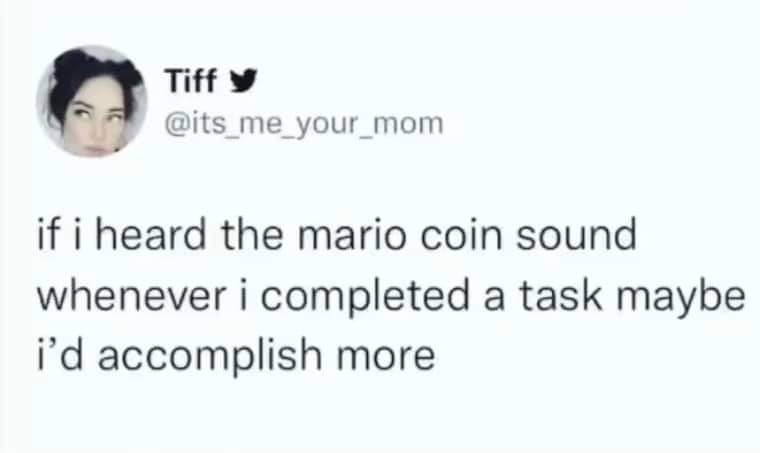 1772993634534.jpeg