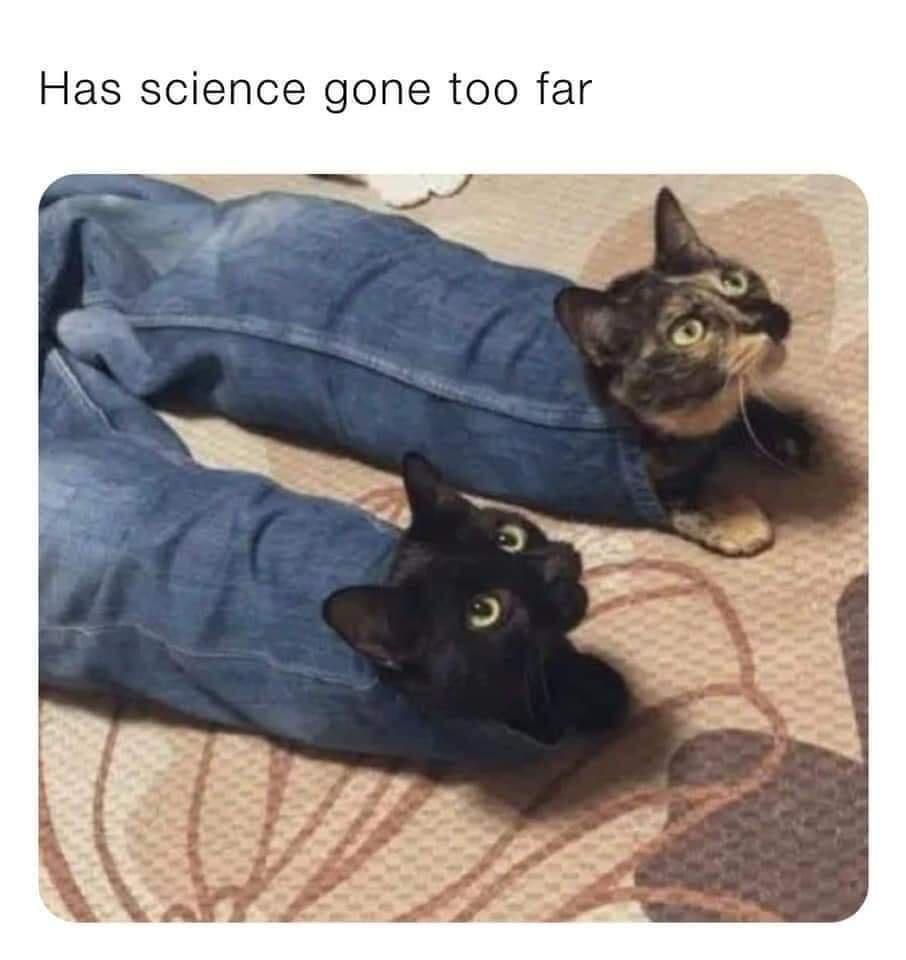 1773058402666.jpeg