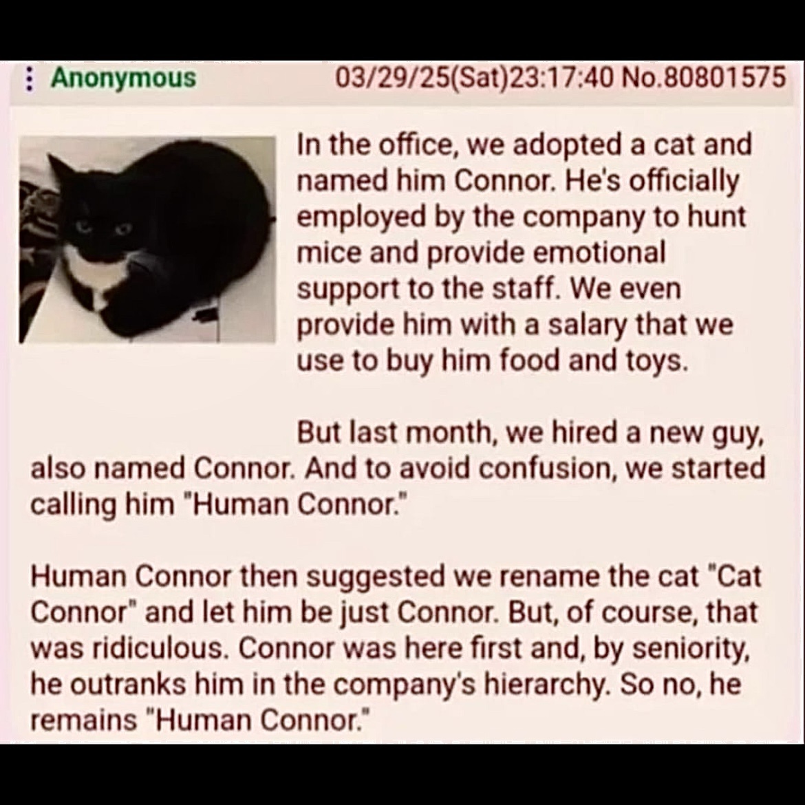 1773087697863.jpeg