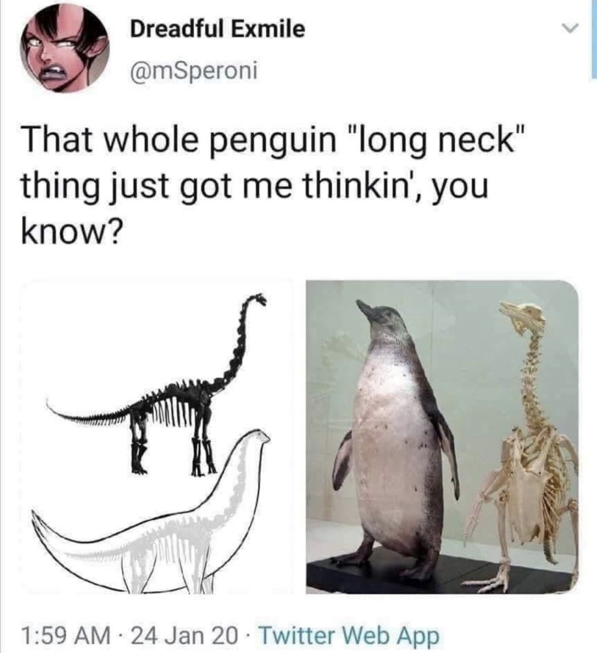 1773137906285.jpeg