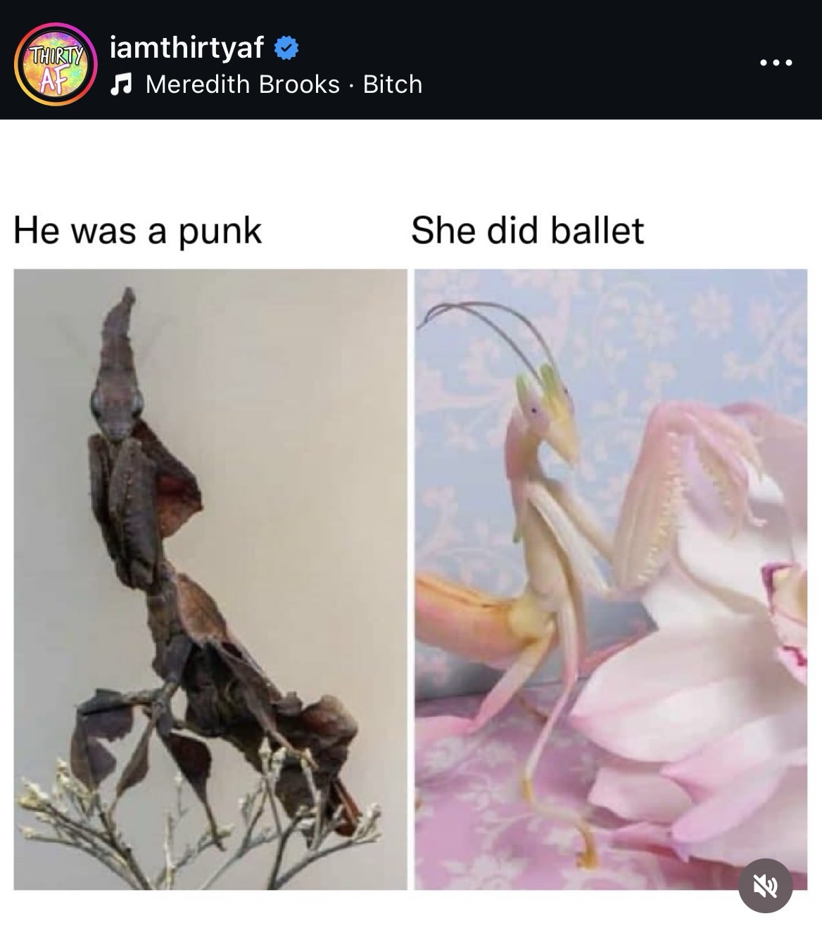 1773145640800.jpeg