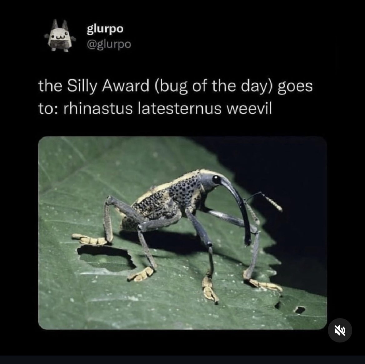 1773146153574.jpeg