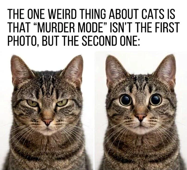 1773253590391.png
