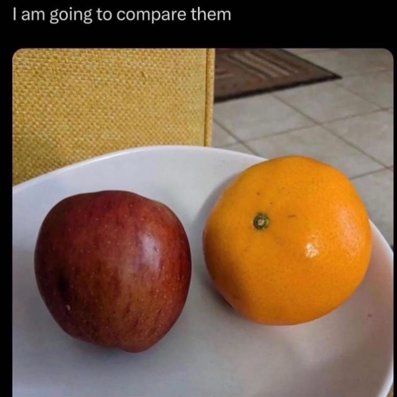 1773341203680.jpeg