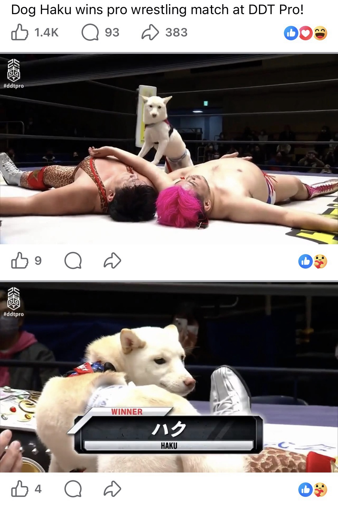 1773382242515.png