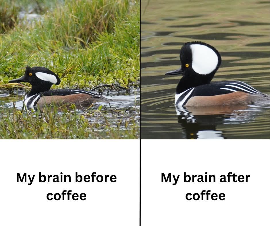 1773506141553.jpeg
