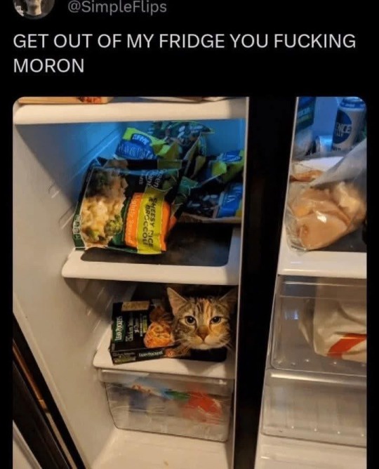 1773654844421.jpeg