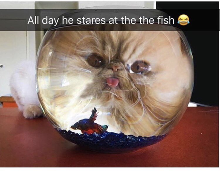 1773688593166.png