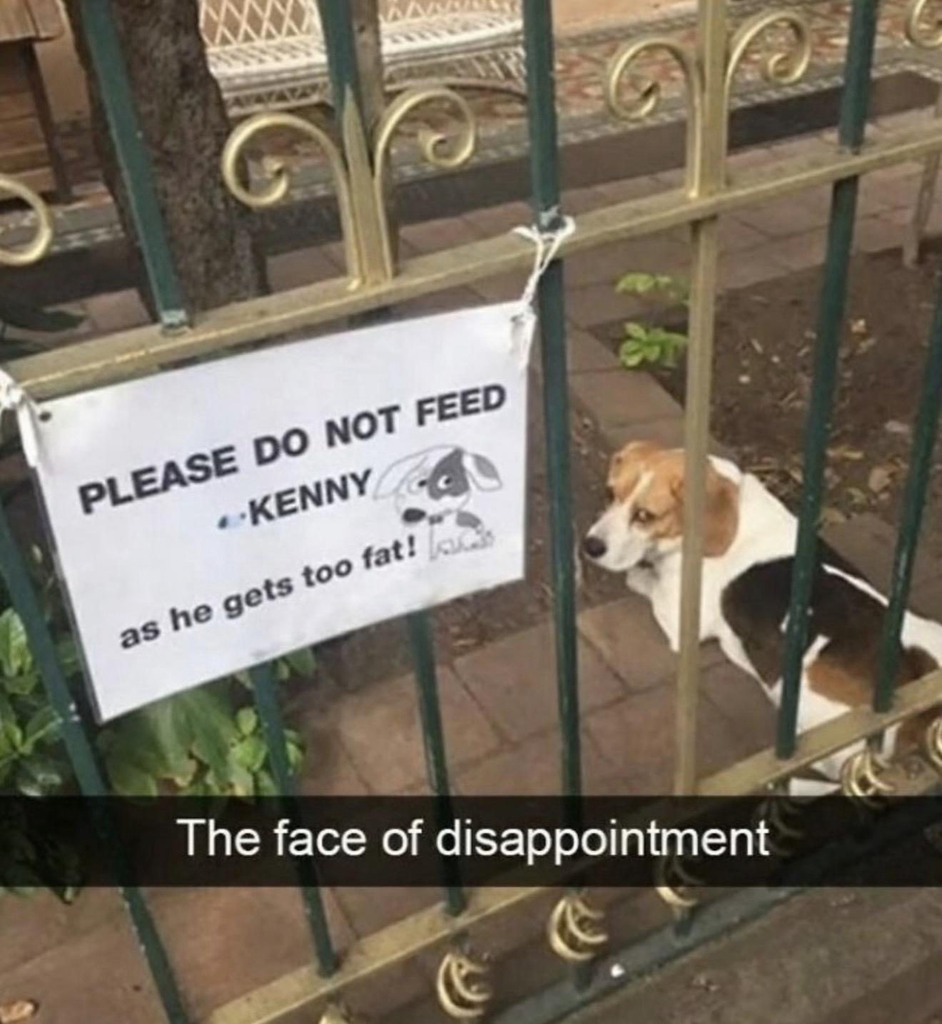1773743136424.jpeg