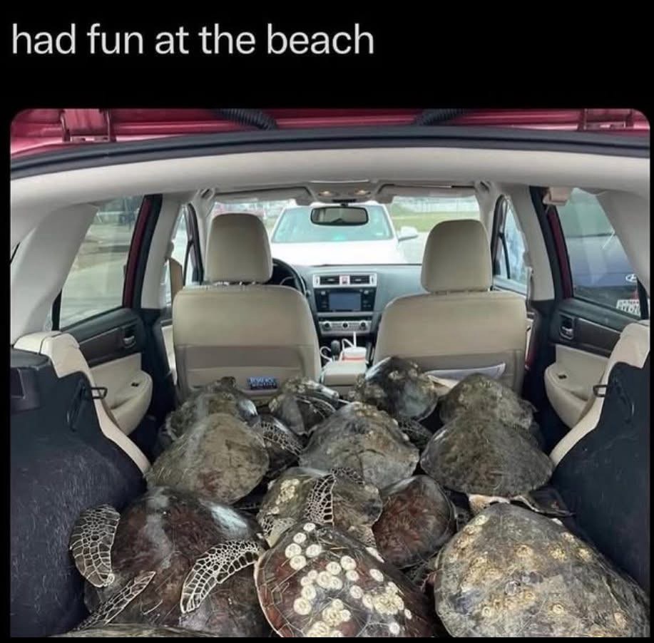 1773755134139.jpeg