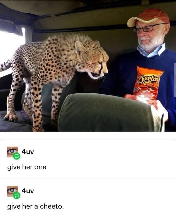 1773755256516.jpeg