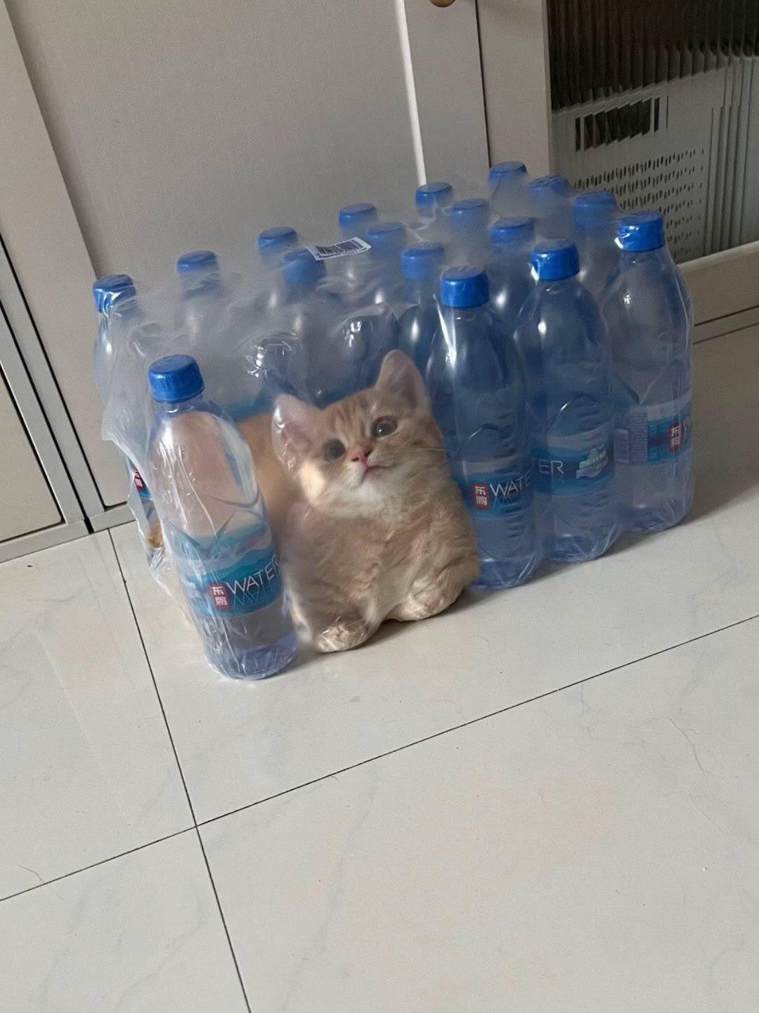 1773899255466.jpeg