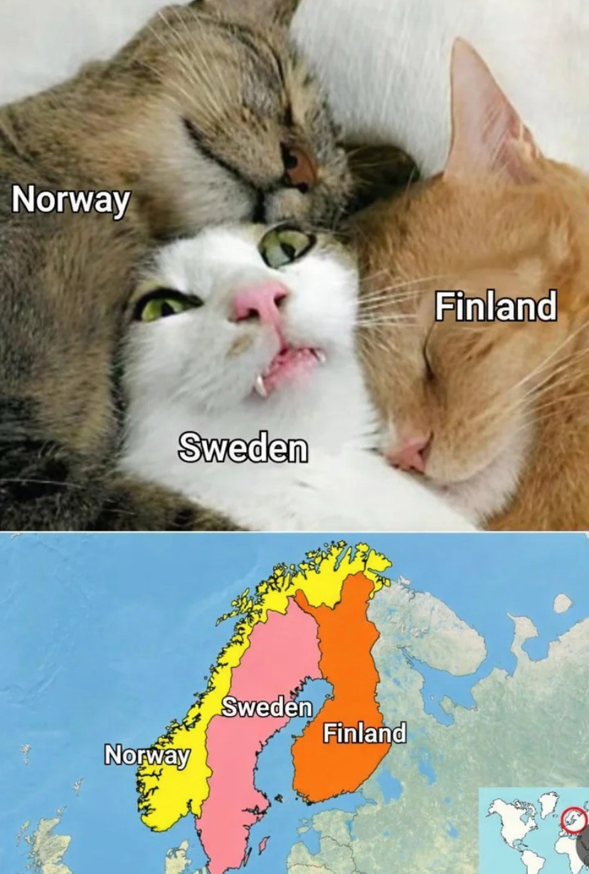 1774089056460.png